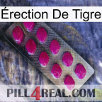 Érection De Tigre 09